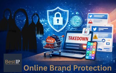 Combating Counterfeit Products on Digital Platforms